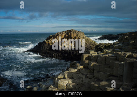 Rocce dorate al sito Patrimonio Mondiale dell'UNESCO, giganti CAUSEWAY, Bushmills, Antrim, Irlanda Foto Stock