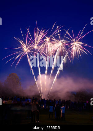 Fuochi d'artificio a Gatehouse of Fleet Gala 2015 Torchlight Parade e fuochi d'artificio Foto Stock