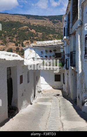 Strada di Capileira, Las Alpujarras, provincia di Granada, Andalusia, Spagna Foto Stock