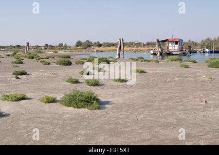 Delta del Po park, provincia di Rovigo, regione Veneto, Italia Foto Stock