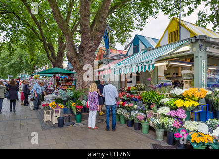 Bancarelle del mercato nel centro della città, luogo di mercato, Norwich, Norfolk, Inghilterra, Regno Unito Foto Stock