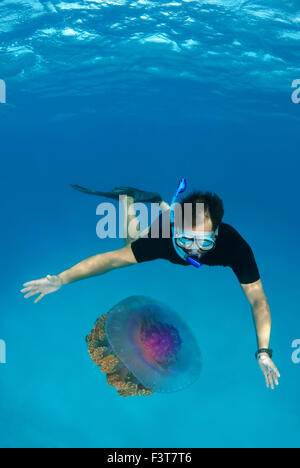 Ottobre 15, 2014 - l'uomo guarda meduse meduse di cavolfiore (Cephea cephea) Oceano Indiano, Maldive. © Andrey Nekrasov/ZUMA filo/ZUMAPRESS.com/Alamy Live News Foto Stock