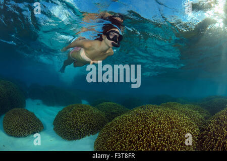 Ottobre 15, 2014 - una giovane donna bellissima galleggia sulla superficie dell'acqua oltre la barriera corallina, Oceano Indiano, Maldive © Andrey Nekrasov/ZUMA filo/ZUMAPRESS.com/Alamy Live News Foto Stock