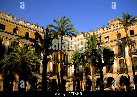 Spagna, Barcellona, Barri Gòtic, Plaza Reial Foto Stock