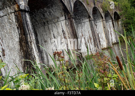 Un viadotto ferroviario attraversa uno stagno di Coalbrookdale, Ironbridge, Shropshire, Regno Unito Foto Stock