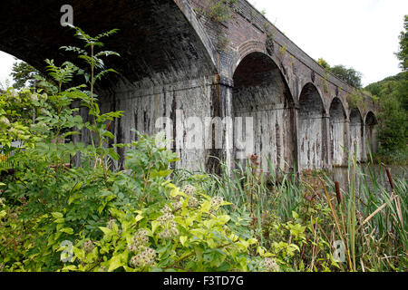 Archi ferroviaria attraversare un laghetto di Coalbrookdale, Ironbridge, Shropshire, Regno Unito. Foto Stock