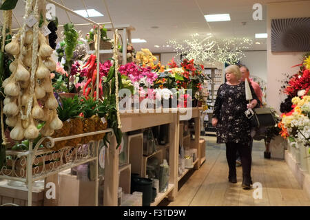 Centro giardino interni, undercover negozi come prepararsi al Natale con festosa visualizza. Foto Stock