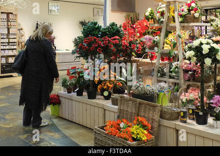 Centro giardino interni così come i negozi prepararsi al Natale con fiore di festa & pianta visualizza. Preston, Regno Unito Foto Stock