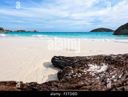 Vecchio driftwood blu del mare di sabbia bianca e onde sulla spiaggia, bella natura durante il periodo estivo a Koh Miang isola in Mu Ko Similan Foto Stock
