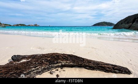 Vecchio driftwood blu del mare di sabbia bianca e onde sulla spiaggia, bella natura durante il periodo estivo a Koh Miang isola in Mu Ko Similan Foto Stock
