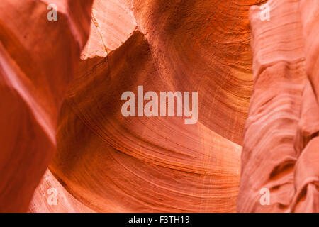 Erose pareti di pietra arenaria che mostra delicate volute all'interno del canyon X che è vicino a Antelope Canyon in Pagina, AZ. Foto Stock