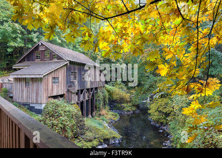 Il Cedar Creek Grist Mill con gigantesco albero di Acero foglie durante la stagione autunnale Foto Stock