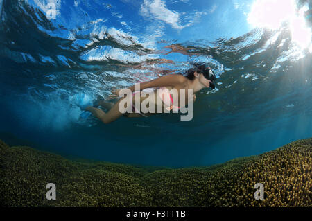 Giovane bella donna galleggia sulla superficie dell'acqua oltre la barriera corallina, Oceano Indiano, Maldive Foto Stock