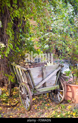 Idilliaco giardino in autunno Foto Stock