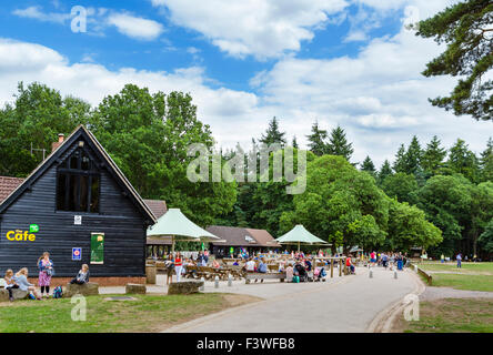 Alta Lodge del centro visitatori a Thetford Forest, Norfolk, Inghilterra, Regno Unito Foto Stock
