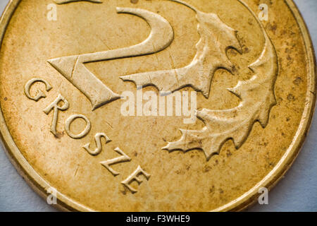 Macro Close-up di zloty polacco moneta Foto Stock