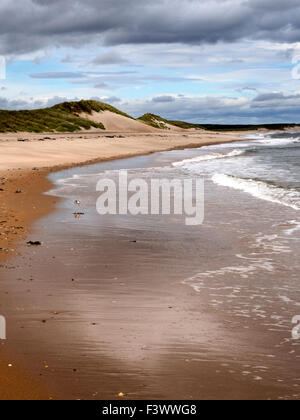 Le dune di sabbia e Marea a Druridge Bay vicino a camminare in riva al mare sulla costa di Northumberland Inghilterra Foto Stock