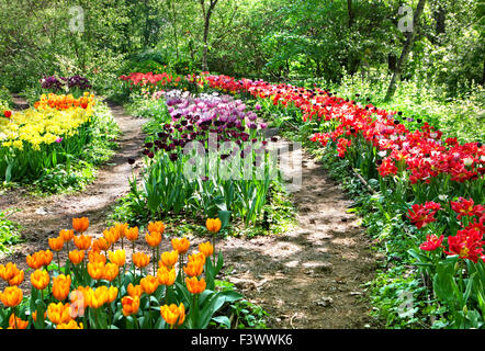 Giardino botanico tra i tulipani a Mosca Foto Stock