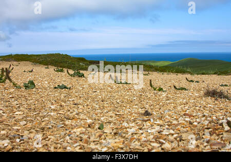 Golets 2. Vista dalle montagne al mare di Bering Foto Stock