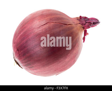 Una grande cipolla rossa isolato su uno sfondo bianco. Foto Stock