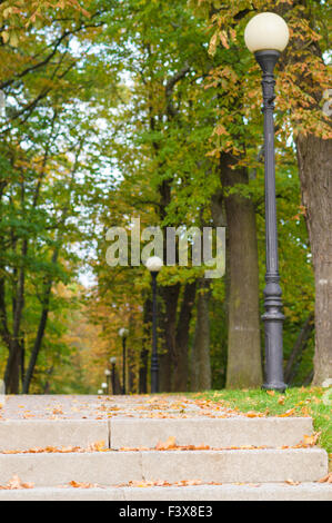 Alley con lampioni in autunno park Foto Stock