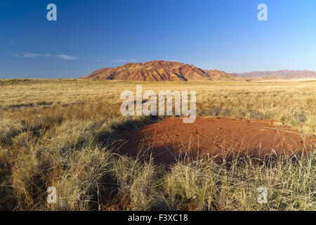 Fairy cerchio al NamibRand riserva naturale Foto Stock