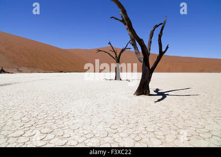 Deadvlei in Namibia-africa Foto Stock
