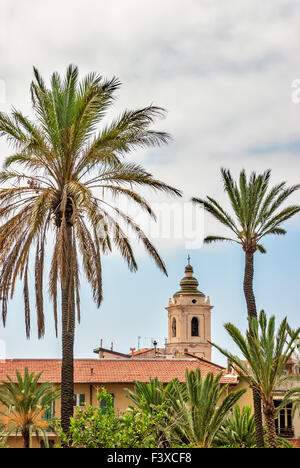 Il campanile e le palme Foto Stock