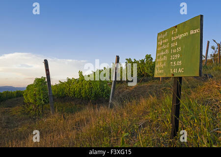 Montagna Rossa Station Wagon Vigneti Cantina Foto Stock