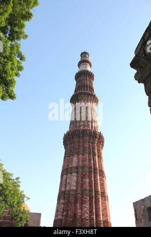 Qutub Minar circondato da foglie e parete Foto Stock