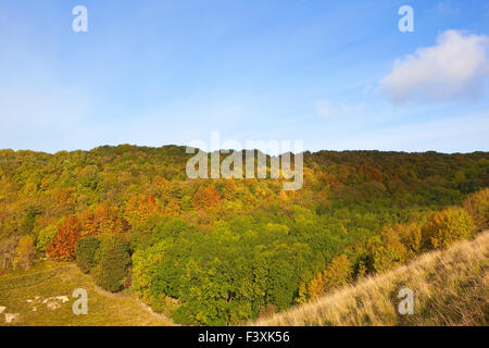 Alberi colorati sulle pendici del Thixendale nella paesaggistica Yorkshire wolds su una bella mattina di autunno. Foto Stock