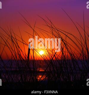 Tramonto sulle dune Foto Stock