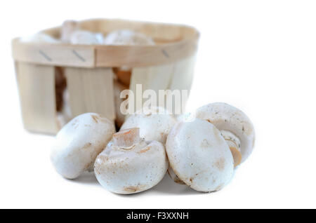 Bianco fresco agaricus o funghi prataioli Foto Stock