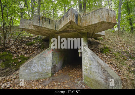 Resti di una fabbrica di dinamite, Germania Foto Stock