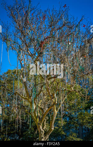 Un albero nel giardino del Distretto di New Orleans, LA, è coperto con appeso, colorato Mardi Gras beads Foto Stock