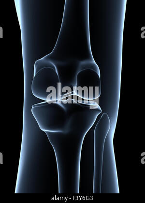 3d reso illustrazione - anatomia del ginocchio Foto Stock