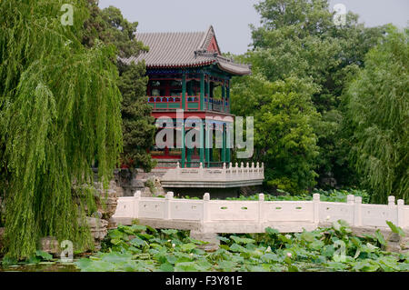 Il panorama del laghetto di loto Foto Stock