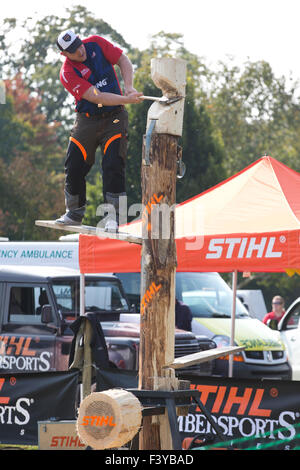 British boscaioli mostra delle loro abilità con STIHL produttore tedesco di motoseghe mostra alla RHS Wisley, Surrey, Inghilterra Foto Stock