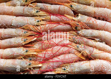 Surgelati gamberi bolliti.saporiti frutti di mare. Foto Stock