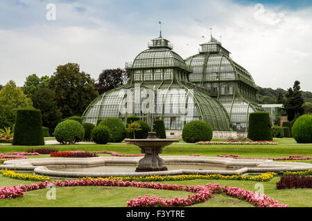 Palm House Palazzo Schoenbrunn, Vienna Foto Stock