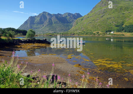 Tranquillo paesaggio sulle Lofoten Foto Stock