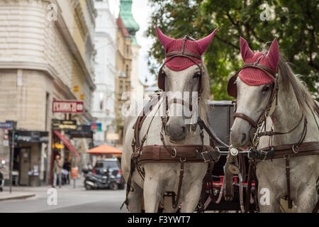 Fiaker a Vienna Foto Stock