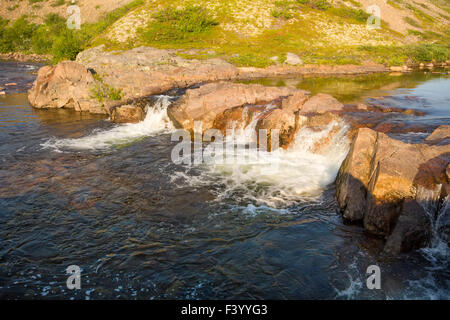 Arctic scende al fiume nella tundra estate Foto Stock