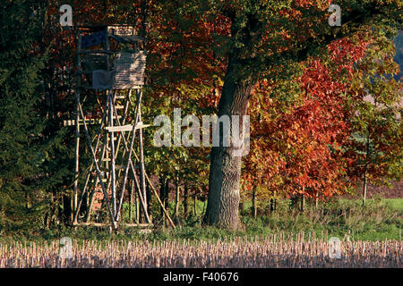 Deerstand, Baviera, Germania Foto Stock