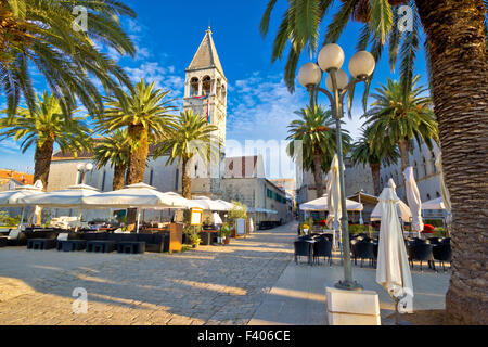 La città di Trogir palm promenade Foto Stock