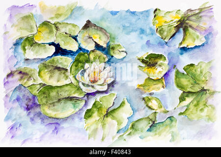 White water lily nel piccolo stagno Foto Stock