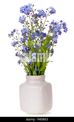 La molla blu fiori mini Foto Stock