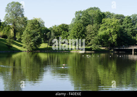 Estate pond in Norvegia Foto Stock