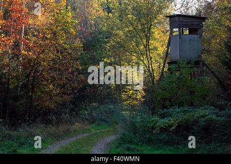 Deerstand, Baviera, Germania Foto Stock