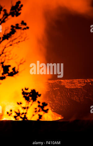 Albero in silhouette al tramonto, lava incandescente, Kilaueea vulcano Caldera, Hawai'i vulcani del Parco Nazionale, Big Island, Hawaii, STATI UNITI D'AMERICA Foto Stock